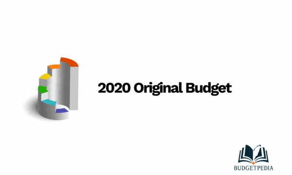 2020 Original Budget