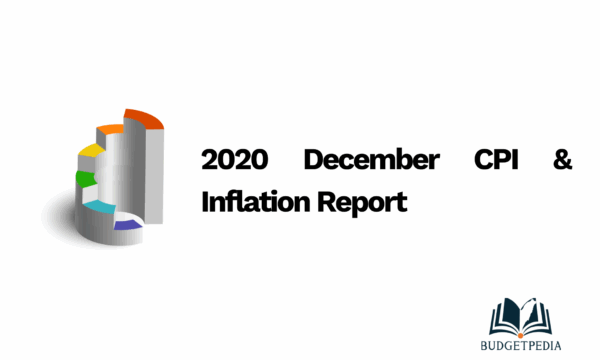 2020 December CPI & Inflation Report