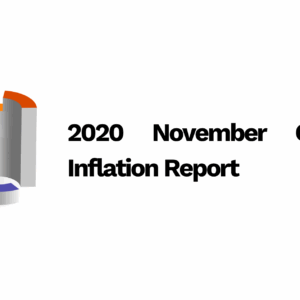 2020 November CPI & Inflation Report