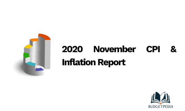 2020 November CPI & Inflation Report