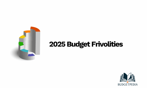 2025 Budget Frivolities