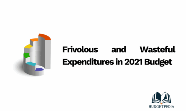 Frivolous and Wasteful Expenditures in 2021 Budget