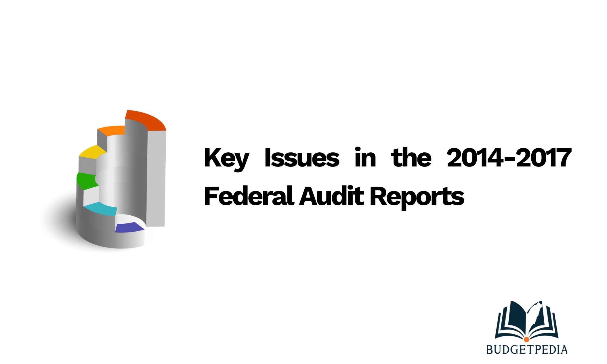 Key Issues in the 2014-2017 Federal Audit Reports
