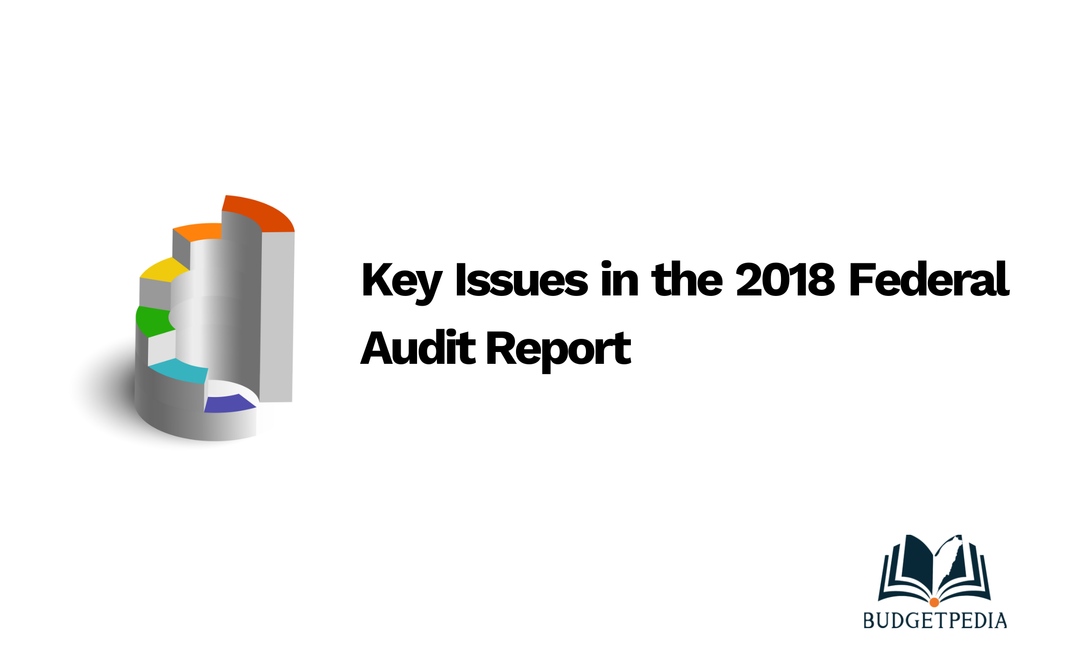 Key Issues in the 2018 Federal Audit Report