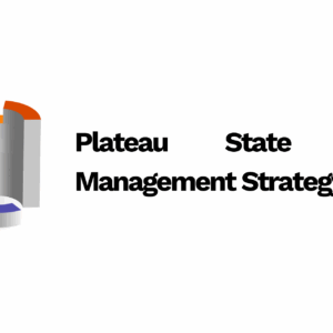 Plateau State Cash Management Strategy